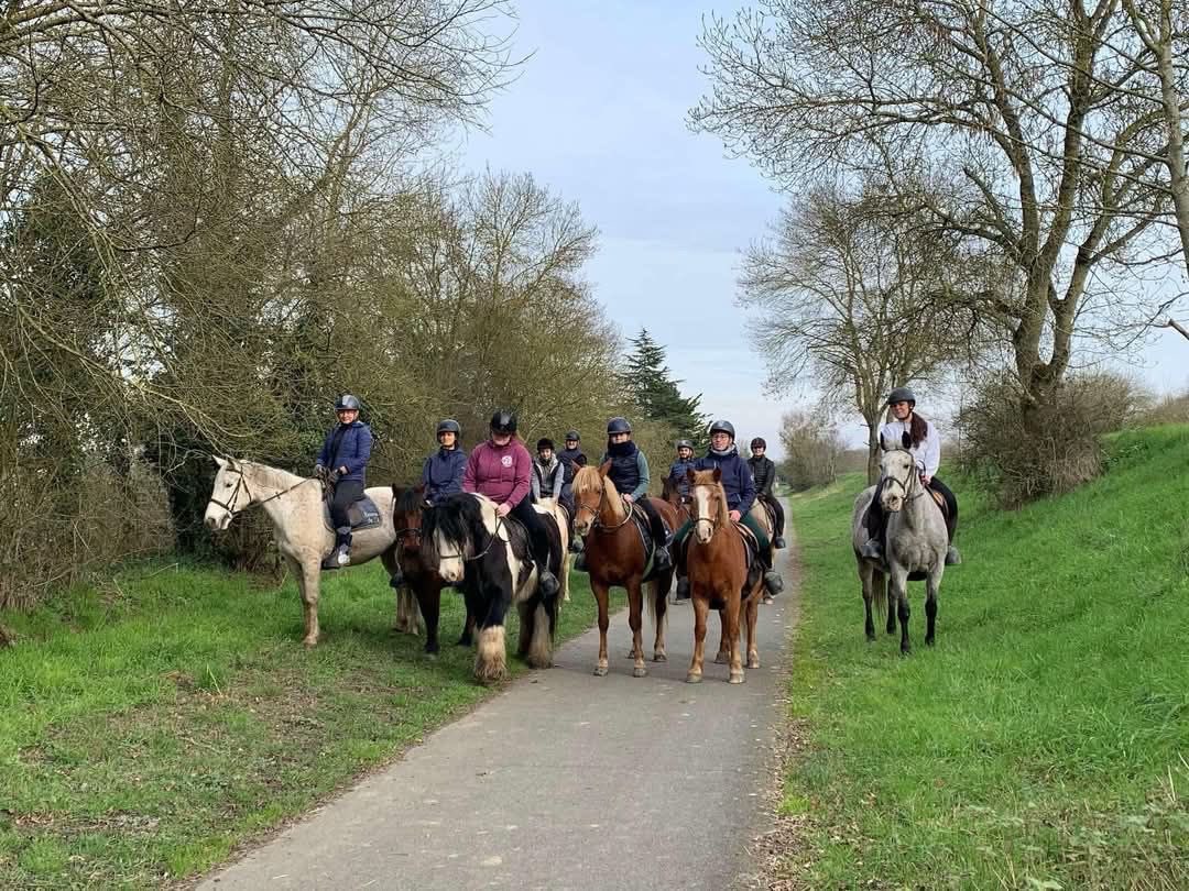 Image de stage tous niveaux du débutant au galop 5 à partir de 6 ans répartis par groupes de niveaux 