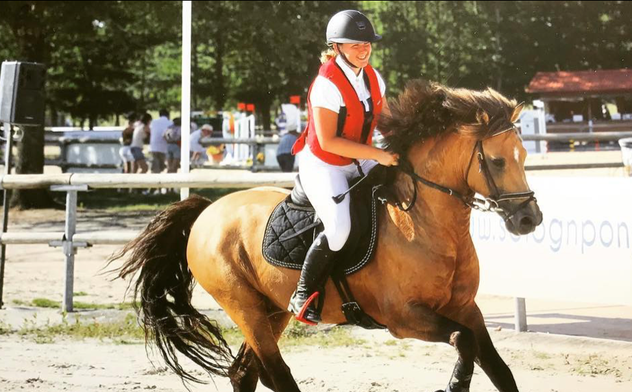 Image de Stage du galop 2 au galop 4 