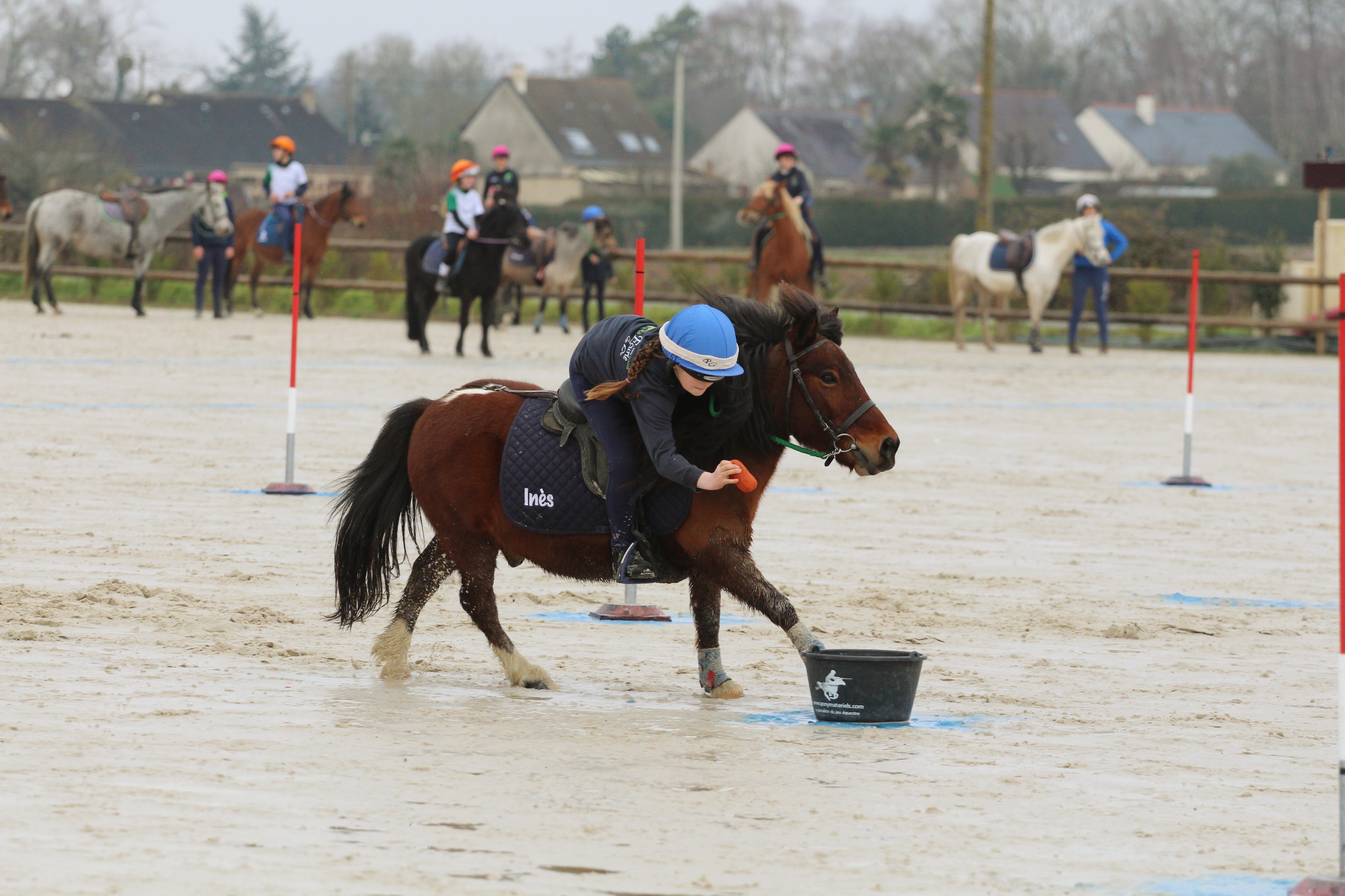 Image de Stage tous niveaux  partir de 6 ans et adultes 