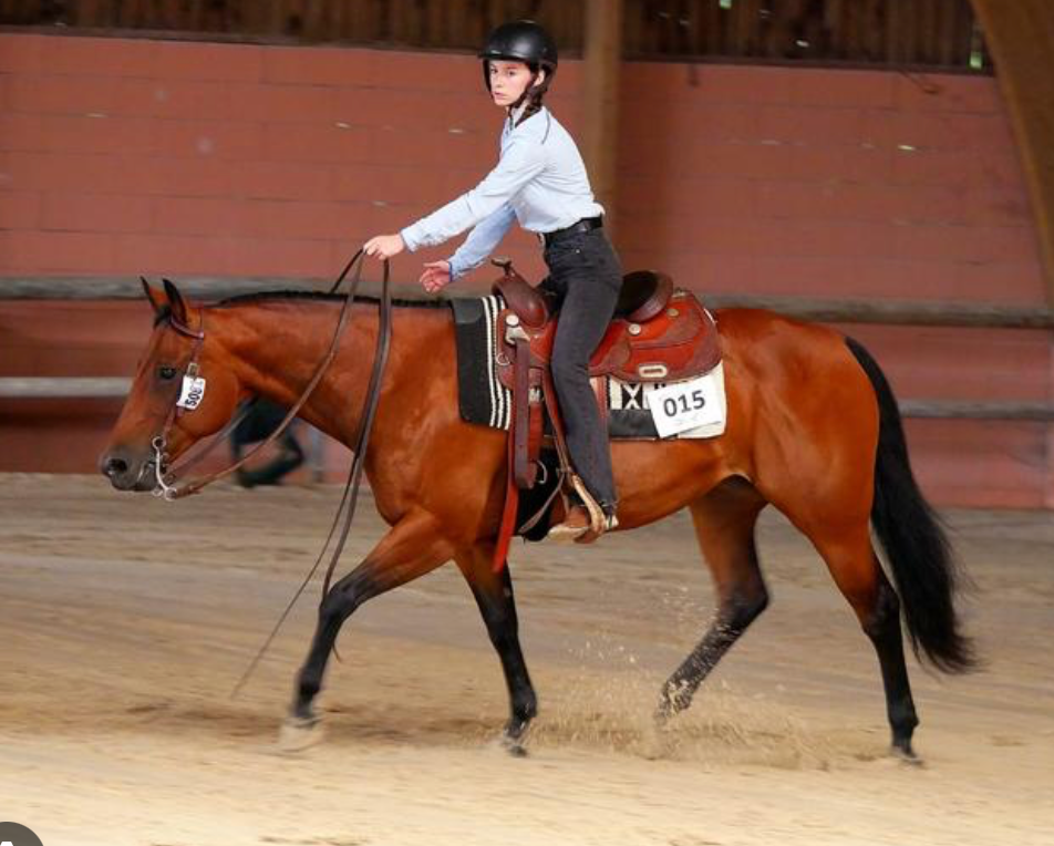Image de DÉCOUVERTE DE L'ÉQUITATION WESTERN À PARTIR DU GALOP 2, TOUS LES ÂGES