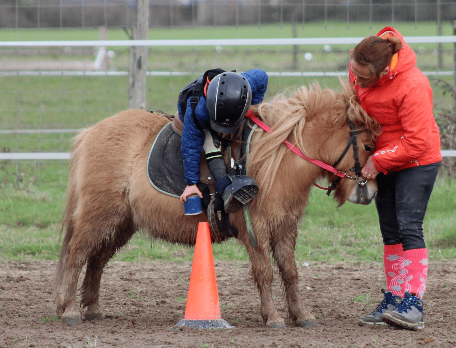 Image de DÉCOUVERTE DU PONEY POUR ENFANTS DE 3 À 6 ANS