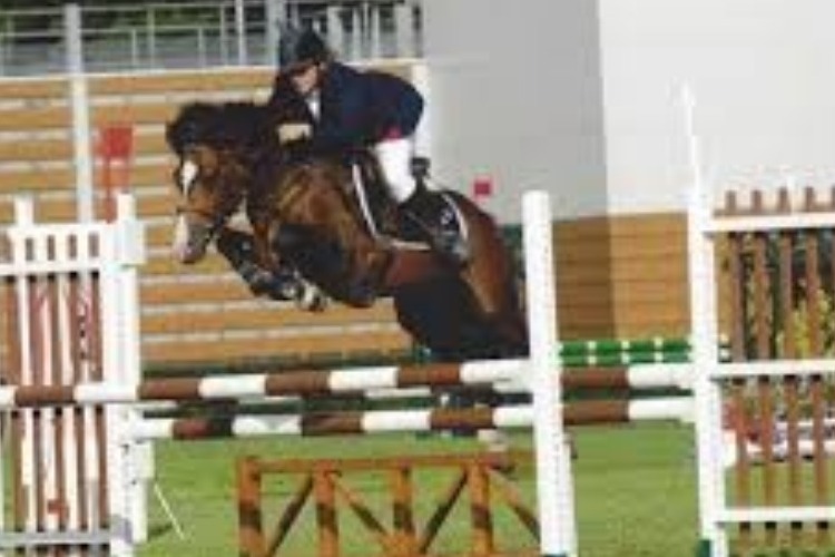 Image de stages de la Toussaint