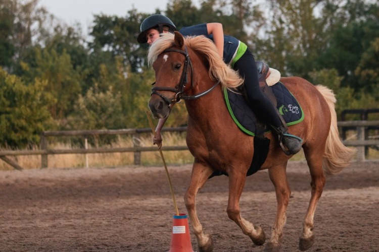 Image de Stage Pony Games