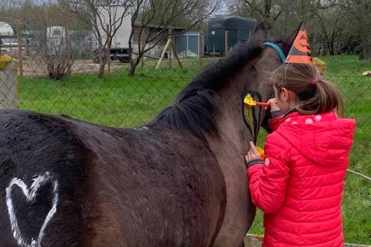 Image de Journée Poney