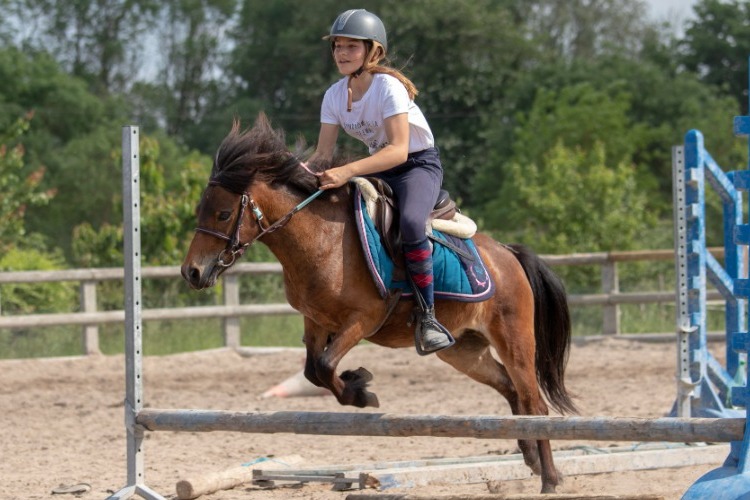 Image de STAGE ENFANT 11 à 15 ans