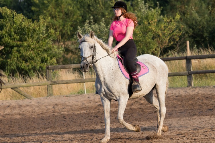 Image de STAGE ADULTE, différents horaires selon niveau