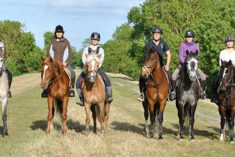 Image de engagement propriétaire au concours PTV à l écurie de cé