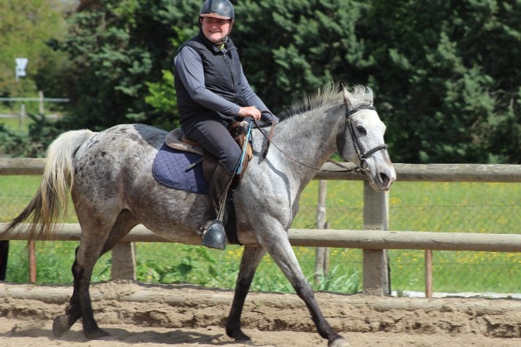 Image de Dimanche 26 juin : stage d'initiation pour des cavaliers adultes dans la bienveillance