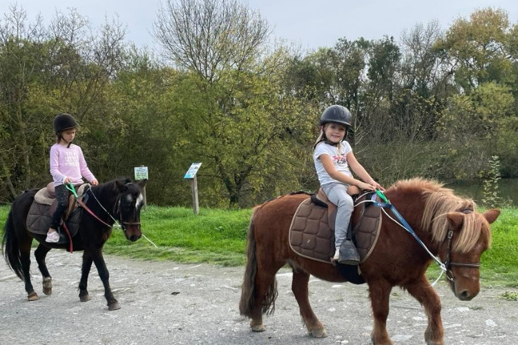 Image de découverte du poney pour cavaliers agés de plus de 7 ans