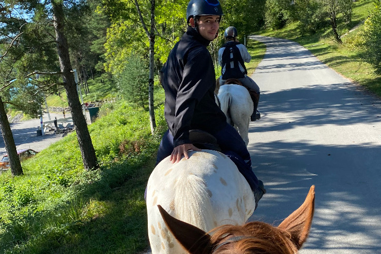 Image de Après-midi découverte de l'équitation pour adultes débutants 