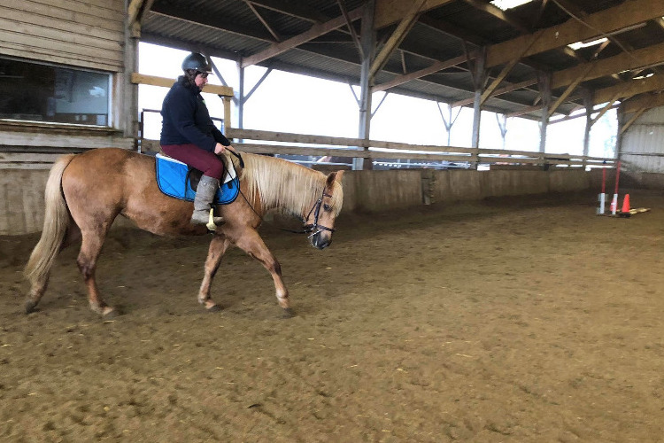 Image de Stage débutant adulte